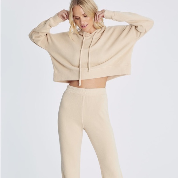 🔥WILDFOX🔥TRENTON HOODIE CROPPED SWEATSHIRT COLOR WHEAT XS/MEDIUM NWT - Picture 3 of 8